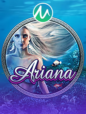 Banner hyperspin arcade di WSO